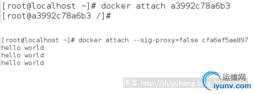 DSC00014.png