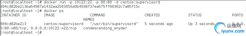 DSC0005.png