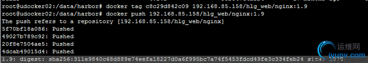 DSC0009.png