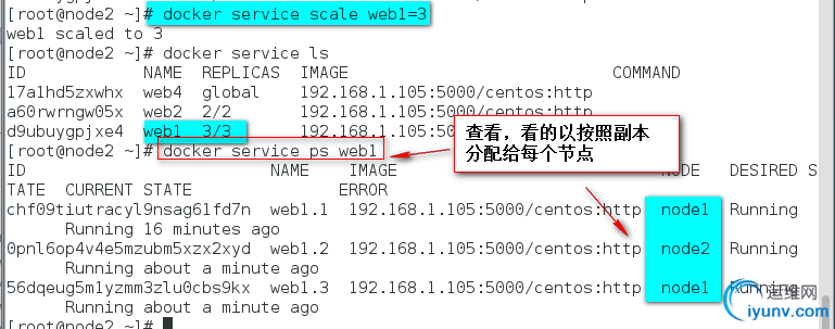 DSC00061.png