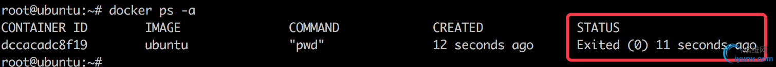 DSC0002.jpg