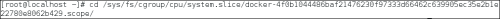 DSC00015.png