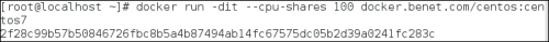 DSC00019.png