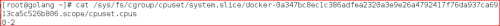DSC00034.png