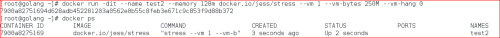 DSC00036.png