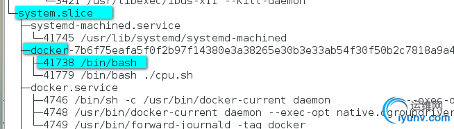 DSC0007.png