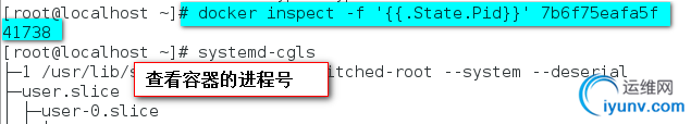 DSC0008.png