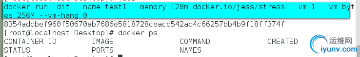 DSC00025.png