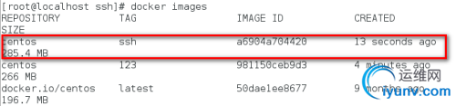 DSC00010.png