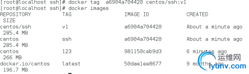 DSC00011.png