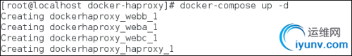 DSC00018.png