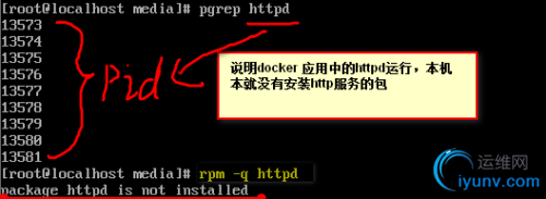 DSC0001.png