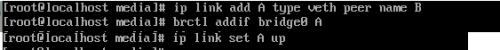 DSC00027.png