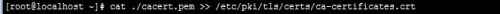 DSC00036.png