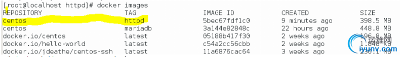 DSC00015.png