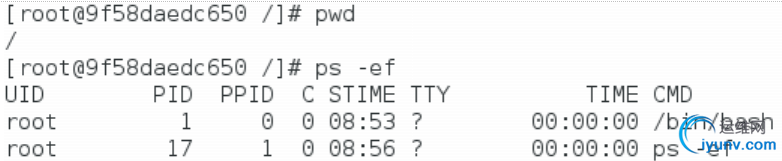 DSC00024.png