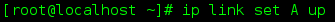 DSC00018.png