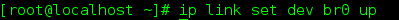 DSC00028.png