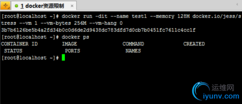 DSC00024.png