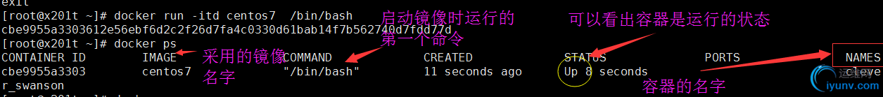 DSC0002.png