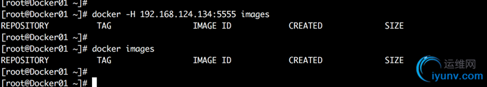 DSC00016.png