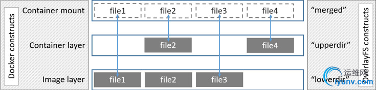 DSC0003.png