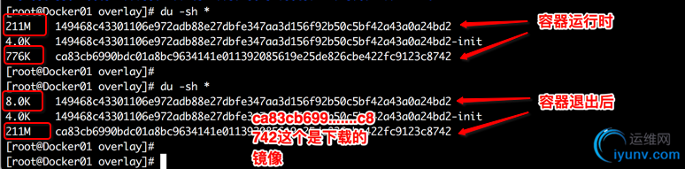 DSC0007.png