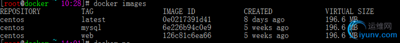 DSC0003.png