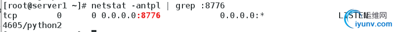 DSC00060.png