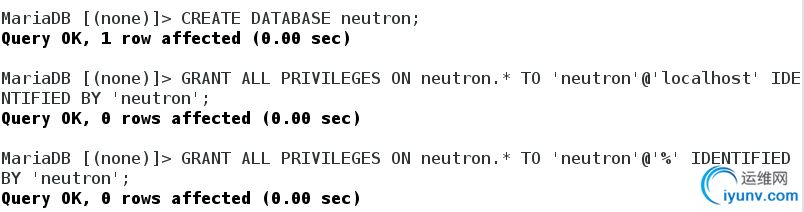 DSC00017.png