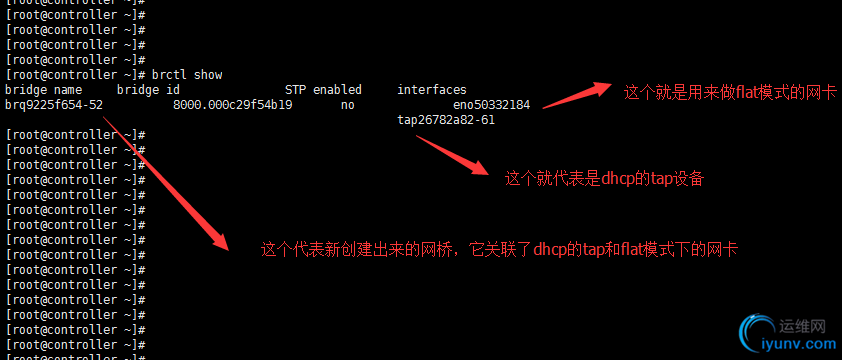 DSC0006.png