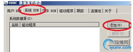 DSC00075.jpg