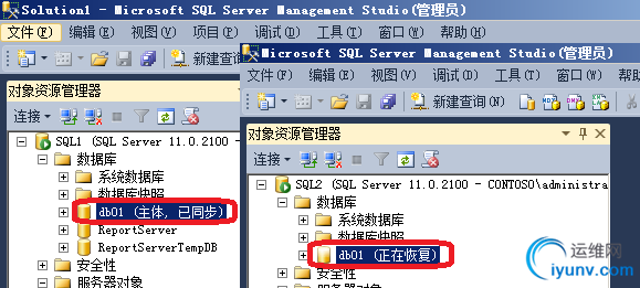DSC00019.png