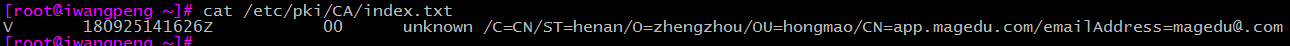 DSC00015.png