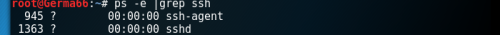 DSC0003.png
