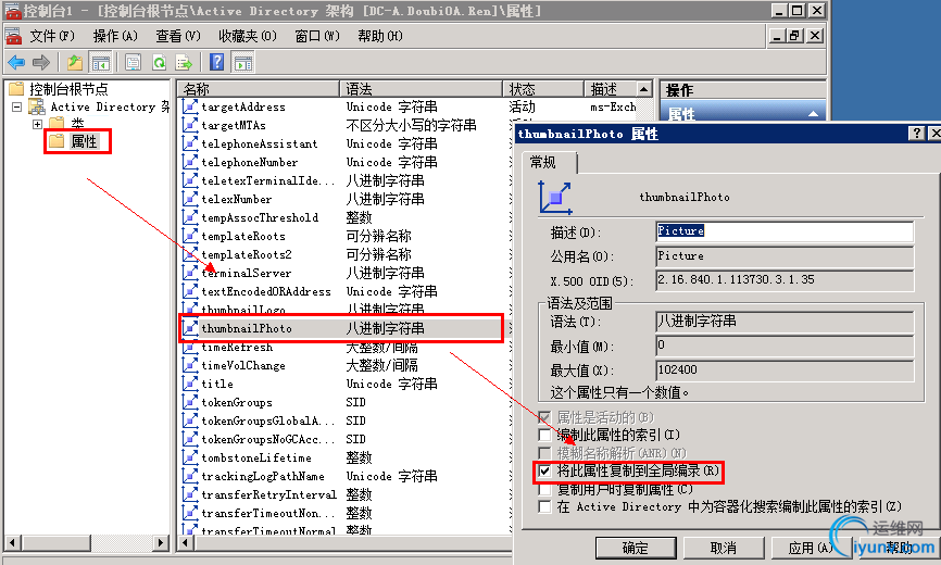 DSC0002.png