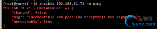 DSC0000.png