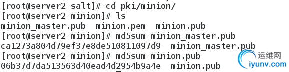 DSC00011.png