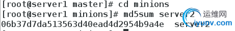 DSC0009.png