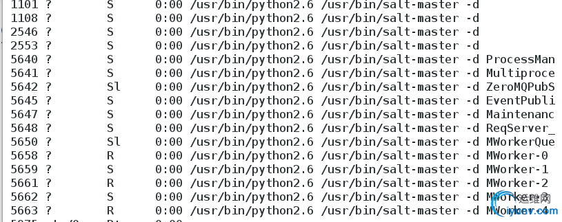 DSC00013.png