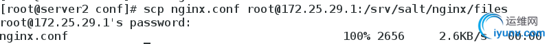 DSC00041.png