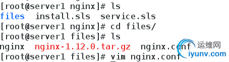 DSC00055.png