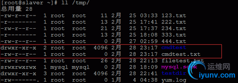 DSC00017.png