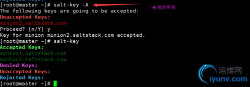 DSC0004.png