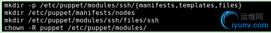 DSC00031.png