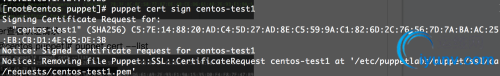 DSC0008.png