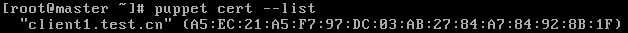 DSC00034.png