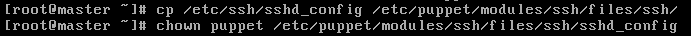 DSC00050.png