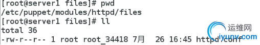 DSC00030.png