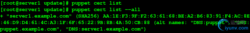 DSC0002.png